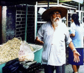 Picture of old man with white beard near bean sprouts on market stall
